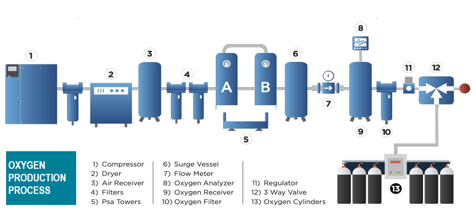 plant-structure