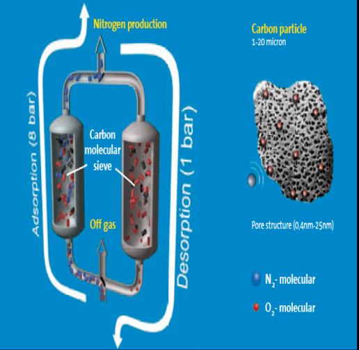 nitrogen-plantssss